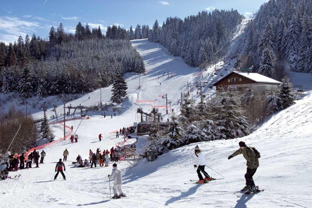 Au Chalet D'Aline - Atypique Pour 4 Personnes Villa Gerardmer Exterior photo